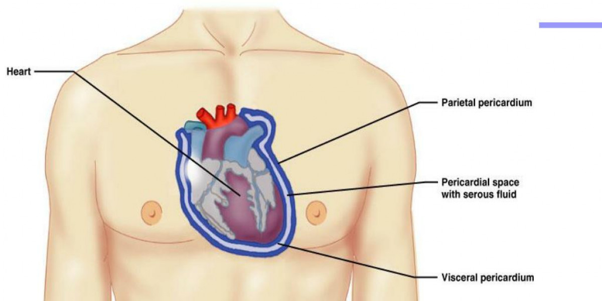 Pericardium Diseases Market Players Share with Upcoming Growth Stats